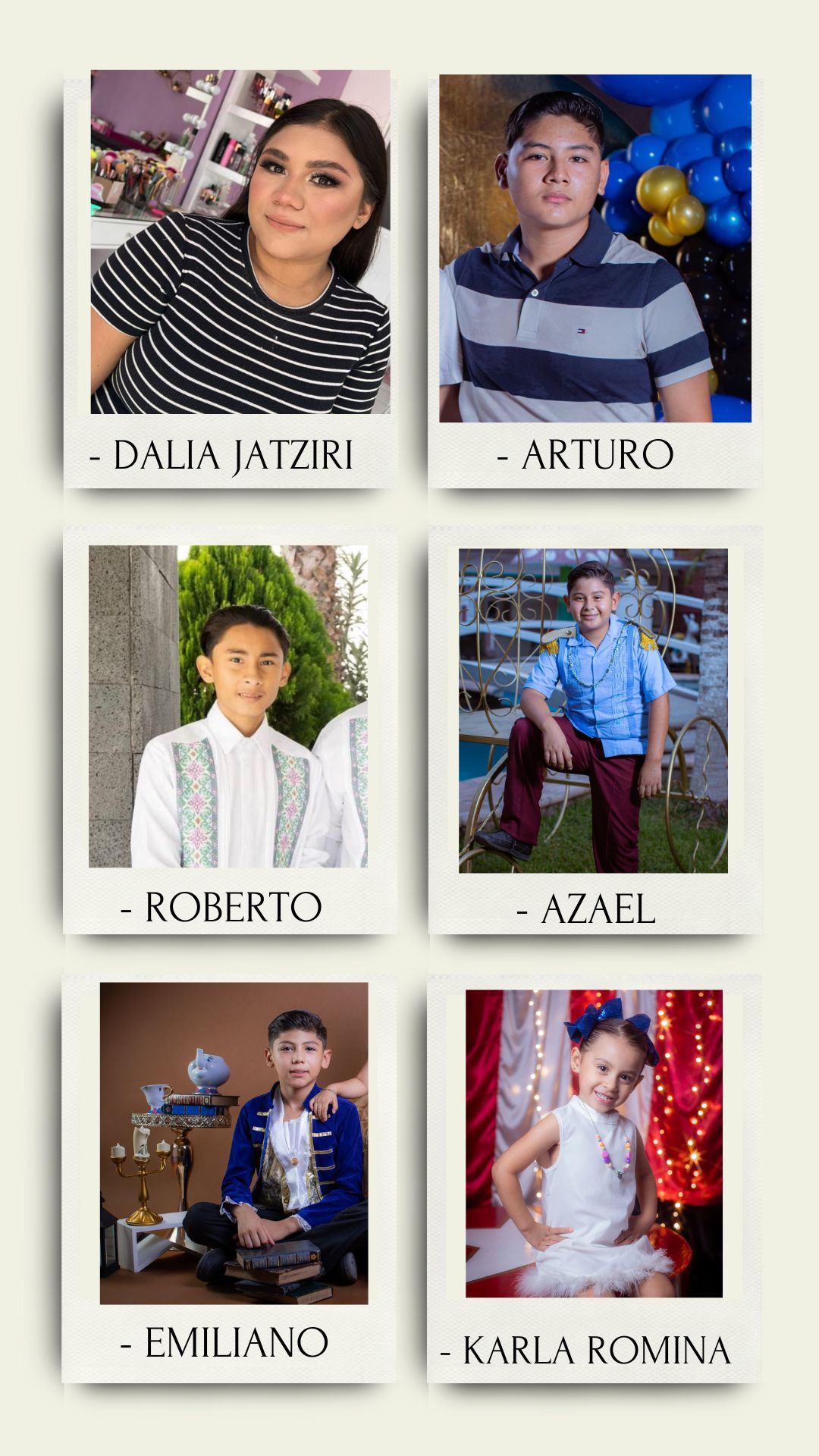 Descripción de la imagen